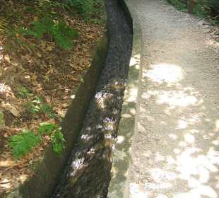 Waalweg