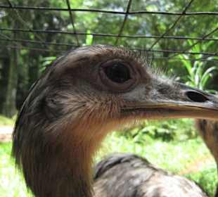 Exotische Fauna und Flora zum anfassen