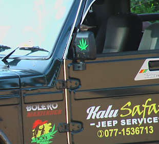 Einer der Safari Jeeps