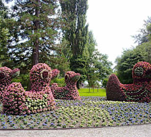 Insel Mainau