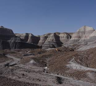 Цветная пустыня Аризоны_Blue_Mesa18