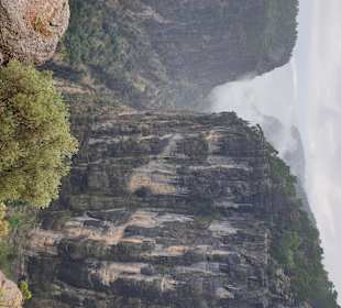 Blick auf den Canyon