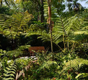 Singapur Zoo