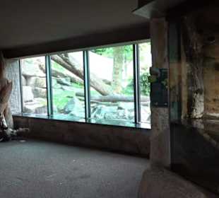 Tierpark Hellabrunn - Welt der Affen