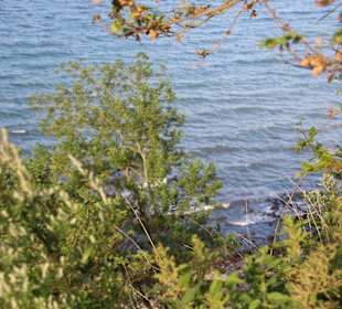 Blick auf die Ostsee