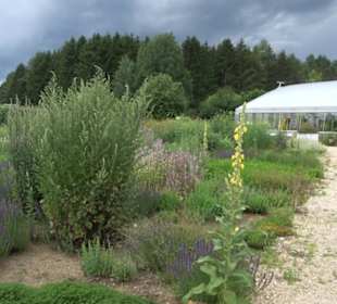 ALB-GOLD Naturgarten