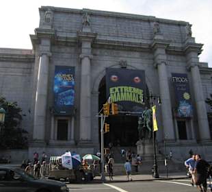 Museum of Natural History