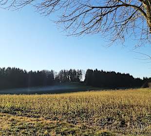 Wandern Starnberg