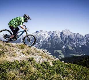 (c) Bikepark Leogang / Artisual