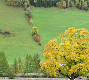 Abstieg der Pircheralm im herbstlichen Oktober