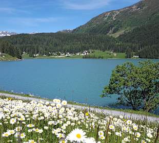 Davosersee