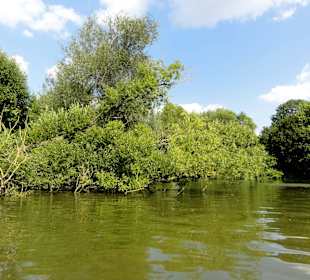 Der See von der Wasserseite