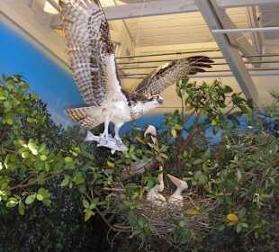 Marine Science Center