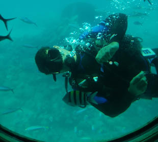 Glasbodenboot Tour Seascope Makadi Bay