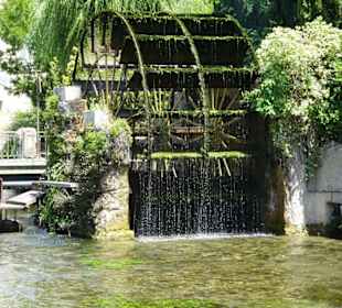 Am Wasser der Sorgue