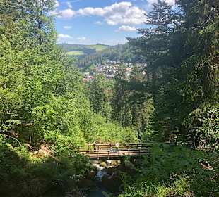 Wandern Freiburg im Breisgau