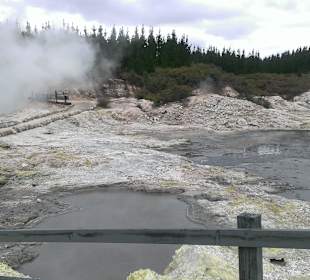Thermal activity - boiling sulphur water