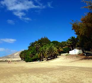 Bei Costa Calma / Windsurfing 