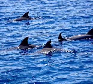 Sonnenuntergangstour