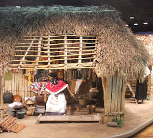 La vita dei maya / atztechi