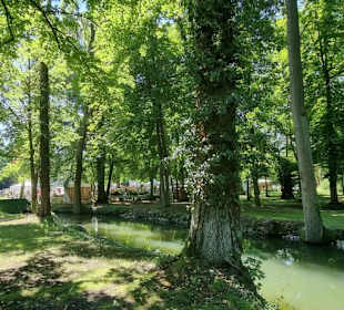Der Weiher im Schloß