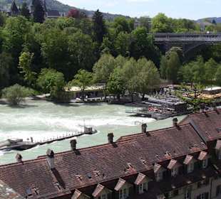 Aare