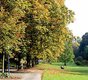 Impressionen aus dem Kurpark