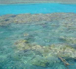 Schnorchelausflug Giftun