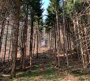 Wandern Wiggensbach