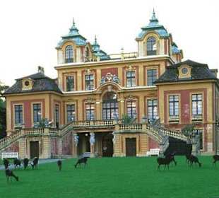 Das Schloß mit Wild