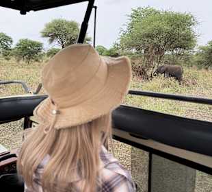 Tarangire Nationalpark 
