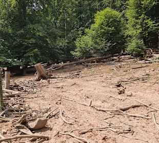 Kurpfalz-Park - Tierpark