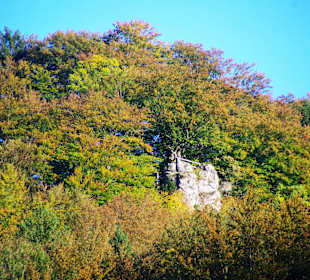 Kletterfelsen mit Zoom