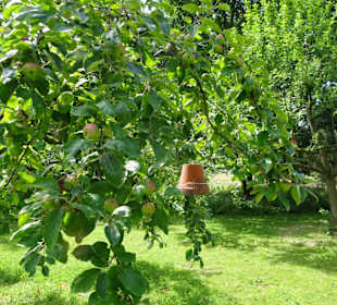 Impressionen aus dem Botanischen Garten Düsseldorf
