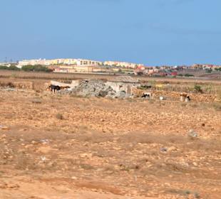 Süd Tour - Boa Vista Tours 