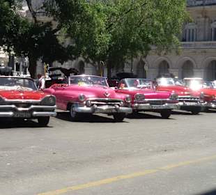Oldtimer in Havanna