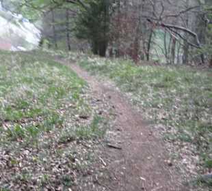 Wanderweg Hochgehswiggert
