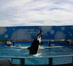 Miami Sea Aquarium