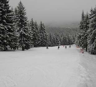 Abfahrt Himmelsleiter (am Nordhang)