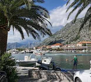 Hafen von Kotor. Ca. 30km entfernt. Mit Fähre 16km