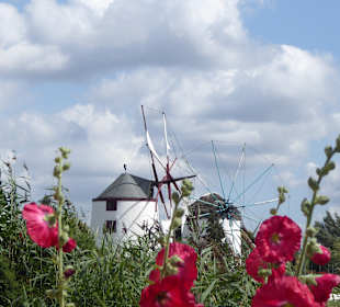Mühlenmuseum Gifhorn