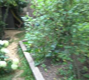 Interkultureller Gemeinschaftsgarten