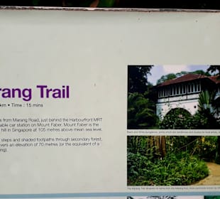 Marang Trail auf den Mount Faber