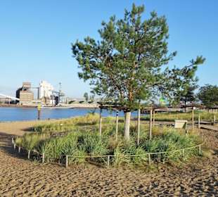 Spaziergang über den Waller Sand