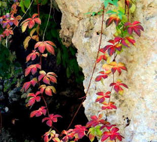 Herbststimmung im Steinbruch