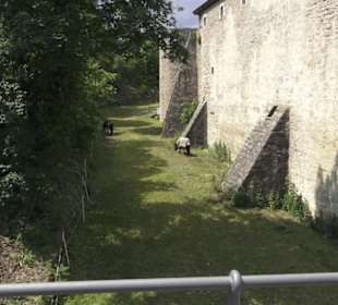 Burg Neuhaus
