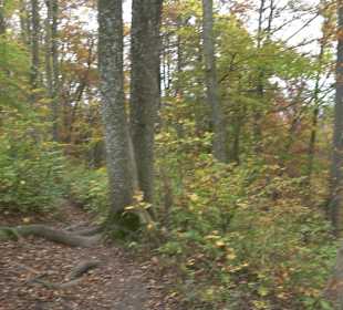 Wandern um die Rauber Ruine