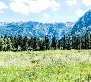 Wandern Pertisau