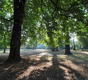 Spaziergang durch den Kölner Stadtgarten