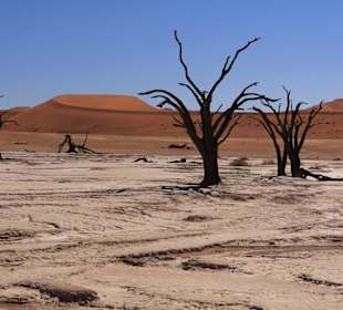 Nachbar Vlei vom Death Vlei (ca. 0.5 km)